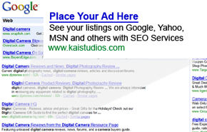 Search Engines Marketing